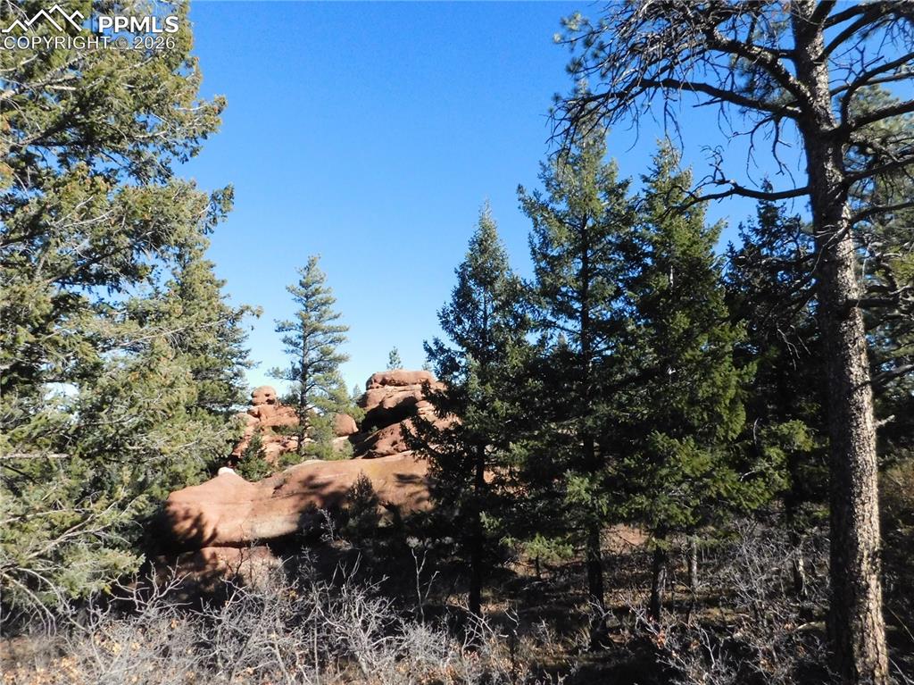 6294 Troon Court Larkspur CO 80118