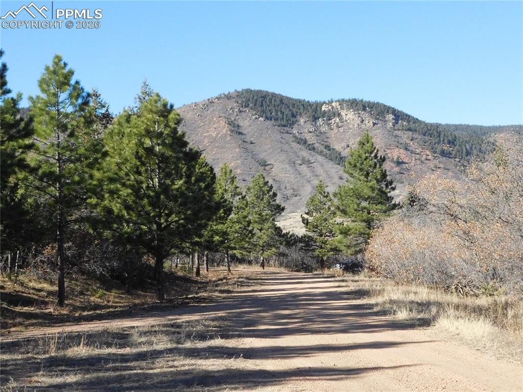 6294 Troon Court Larkspur CO 80118
