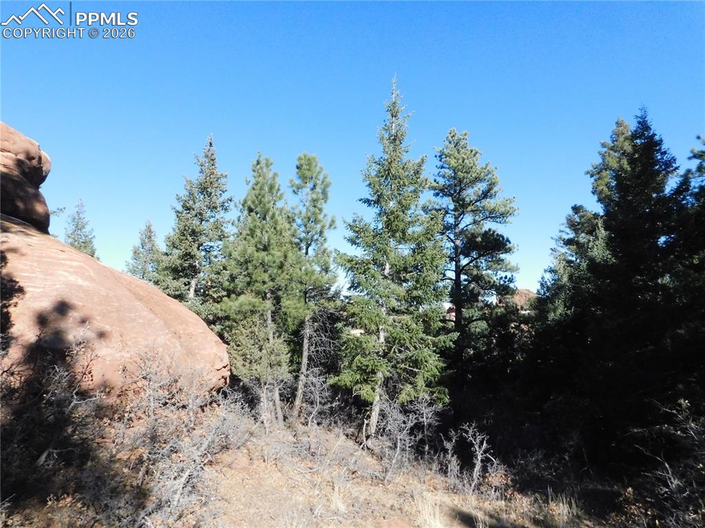 6294 Troon Court Larkspur CO 80118