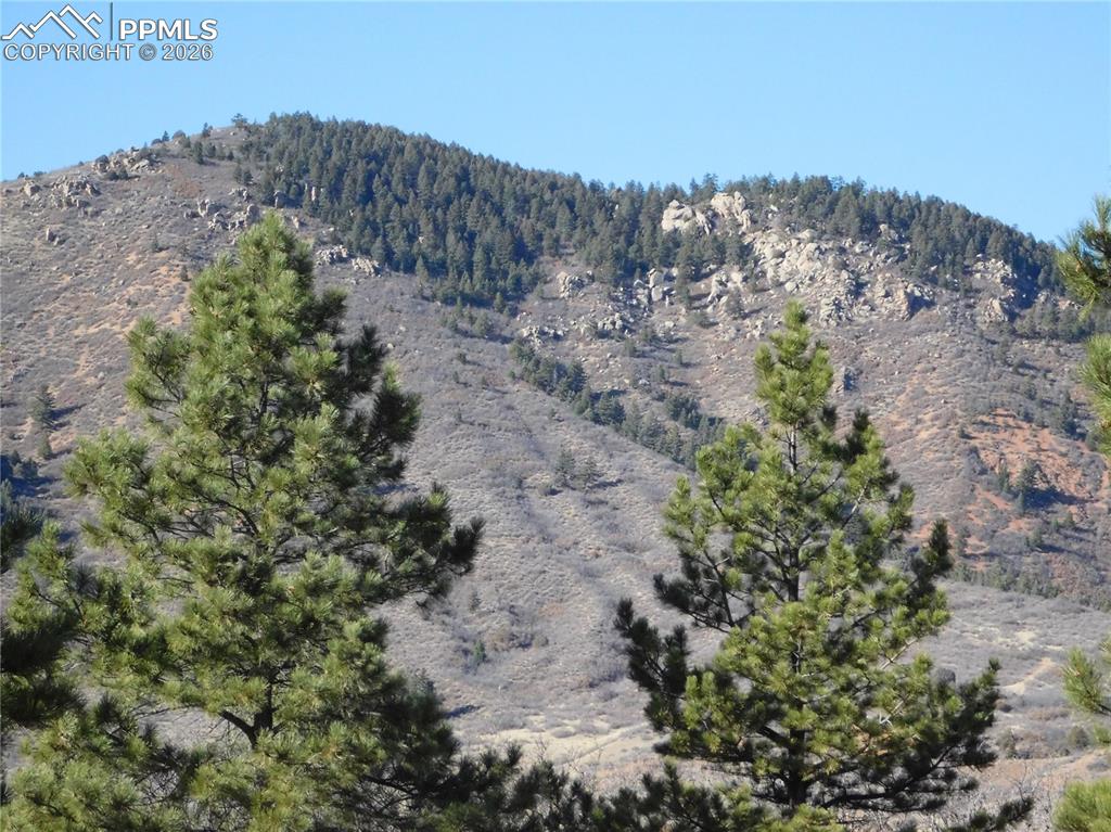 6294 Troon Court Larkspur CO 80118