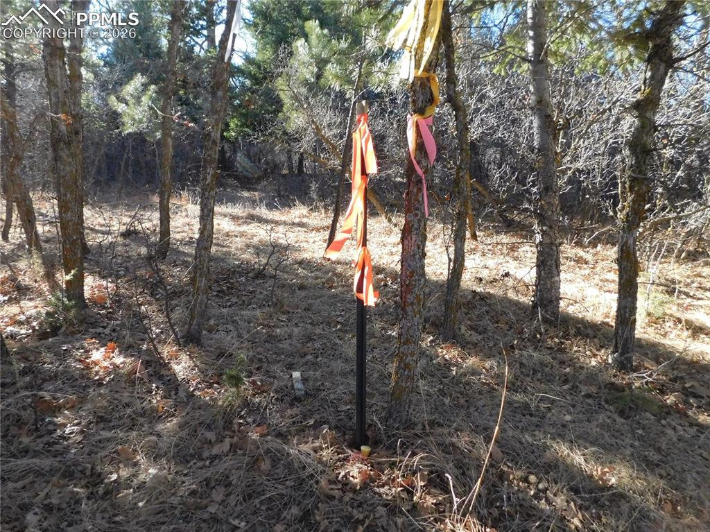 6294 Troon Court Larkspur CO 80118