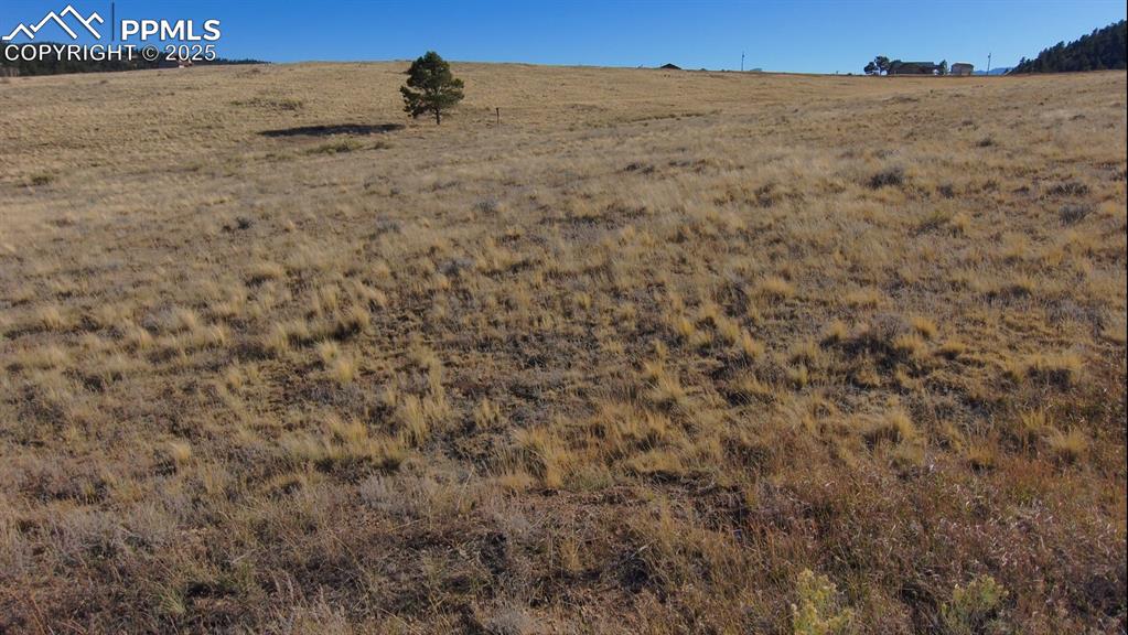 152 Wulstein Way Westcliffe CO 81252