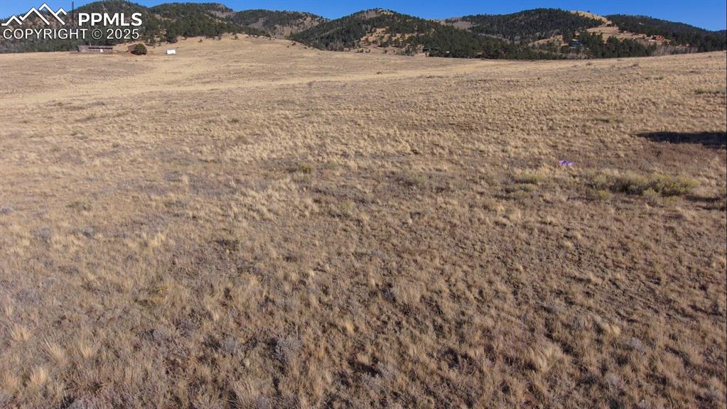 152 Wulstein Way Westcliffe CO 81252