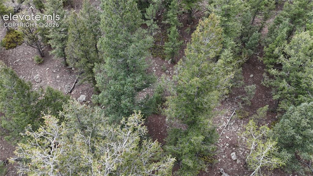 4943 County Road 11 Florissant CO 80816
