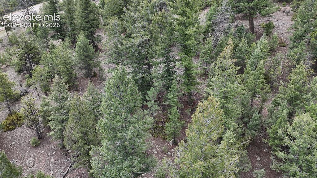 4943 County Road 11 Florissant CO 80816