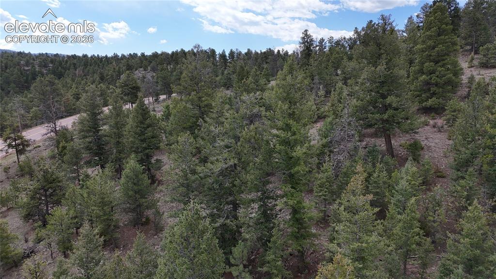 4943 County Road 11 Florissant CO 80816
