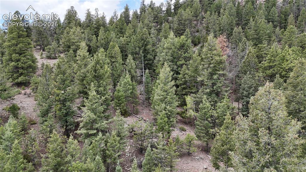 4943 County Road 11 Florissant CO 80816