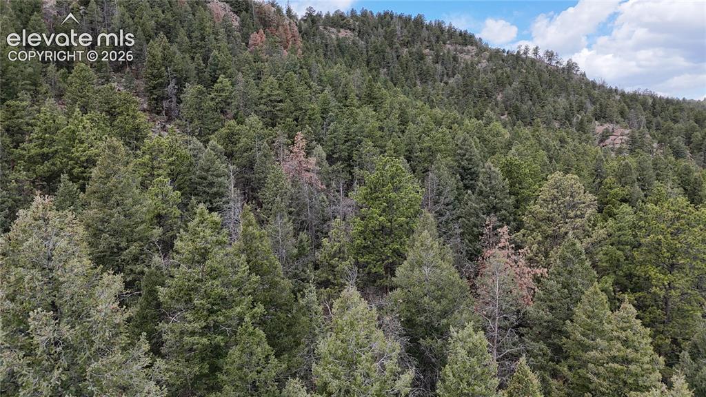 4943 County Road 11 Florissant CO 80816