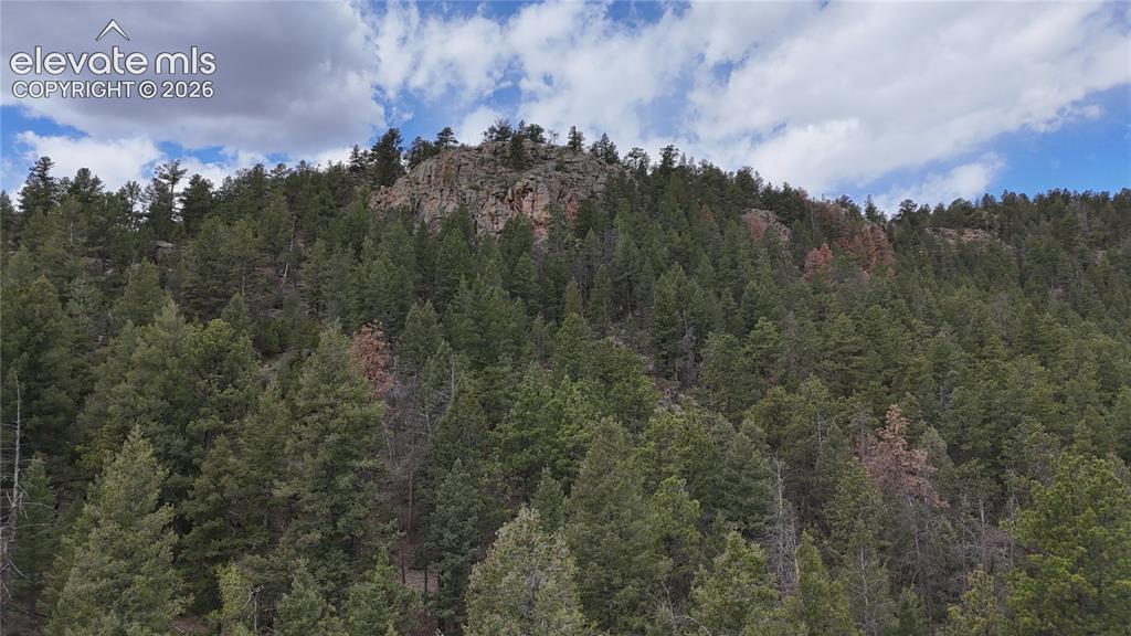 4943 County Road 11 Florissant CO 80816