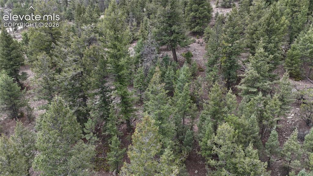 4943 County Road 11 Florissant CO 80816