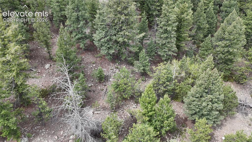 4943 County Road 11 Florissant CO 80816