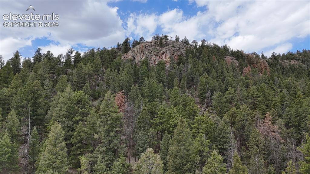 4943 County Road 11 Florissant CO 80816
