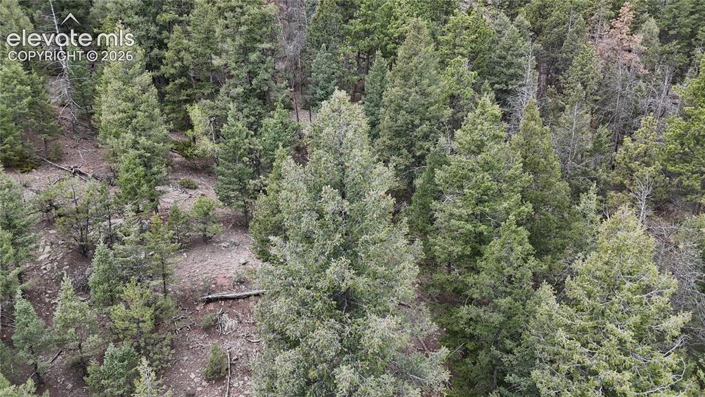 4943 County Road 11 Florissant CO 80816