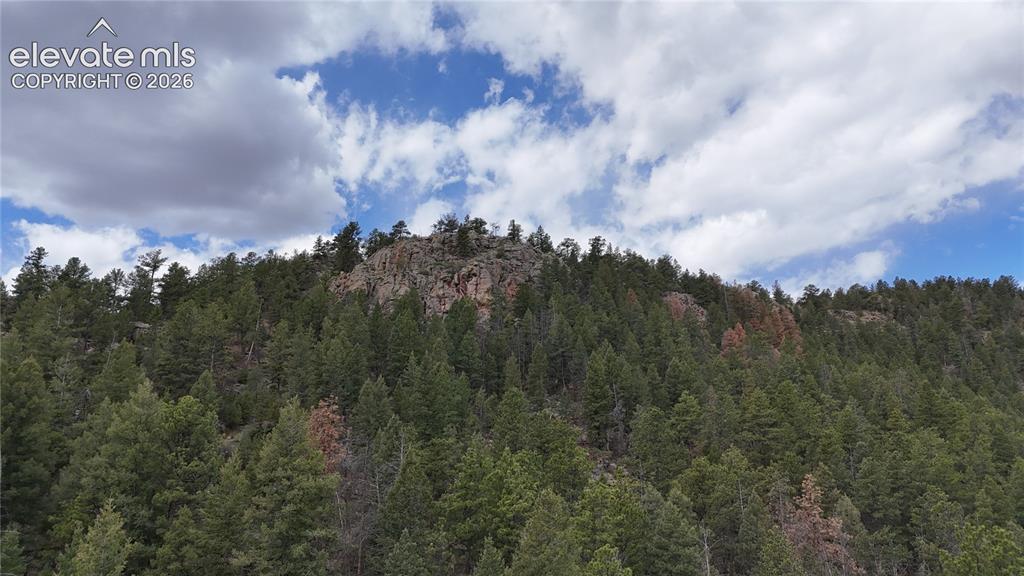 4943 County Road 11 Florissant CO 80816