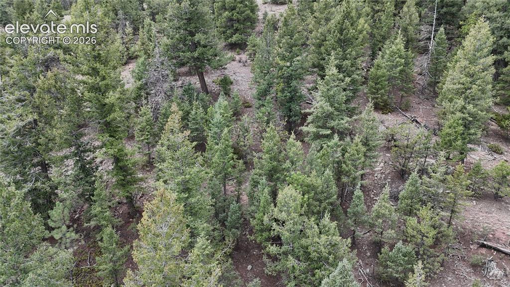 4943 County Road 11 Florissant CO 80816