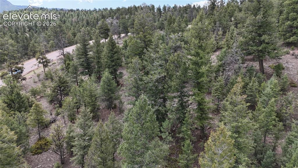 4943 County Road 11 Florissant CO 80816