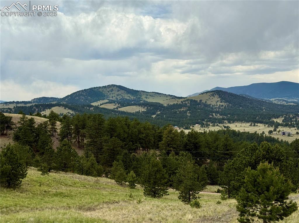 682 Nancy Ann Arroyo Guffey CO 80820