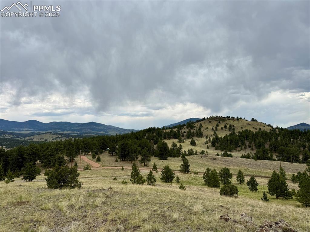 682 Nancy Ann Arroyo Guffey CO 80820