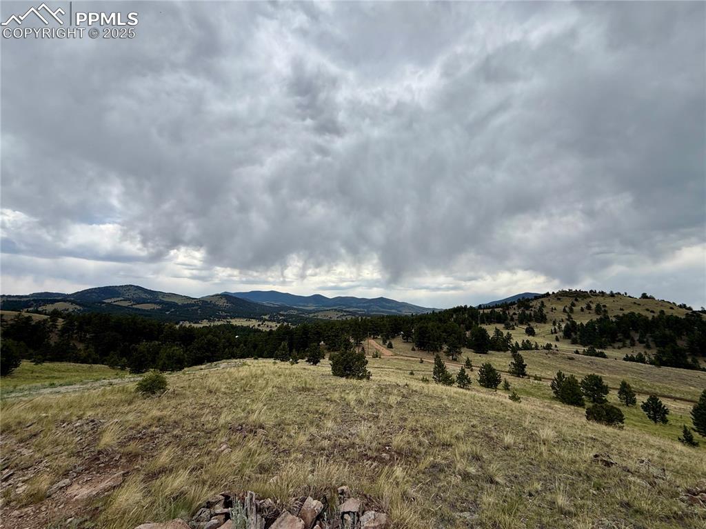 682 Nancy Ann Arroyo Guffey CO 80820