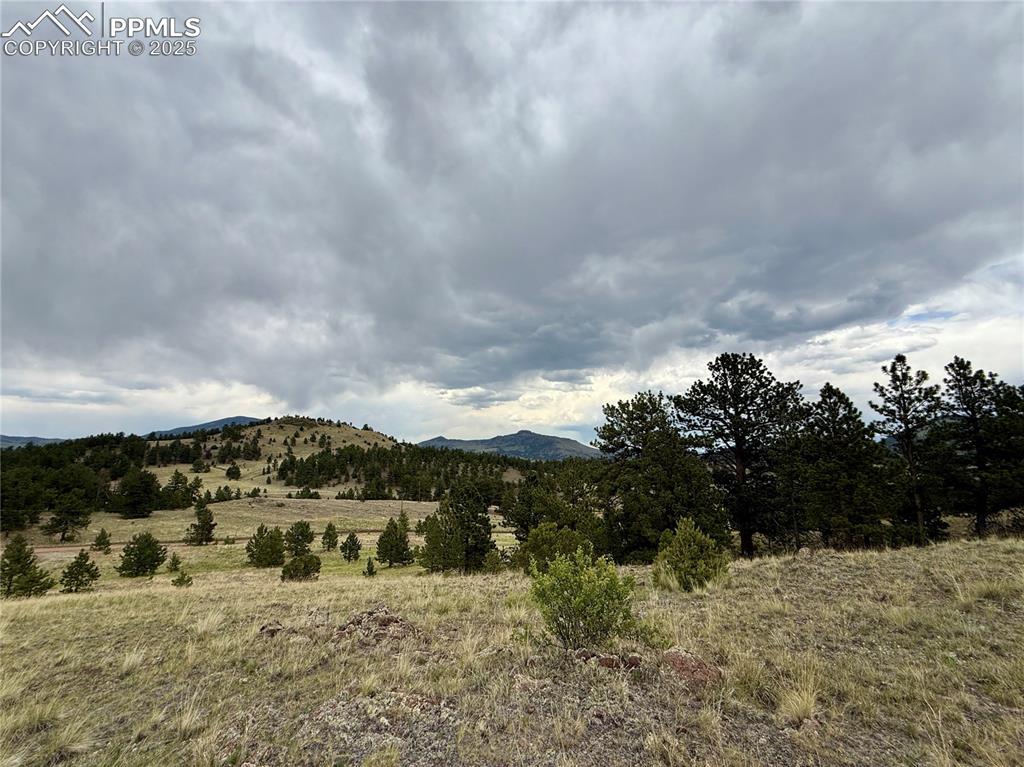682 Nancy Ann Arroyo Guffey CO 80820