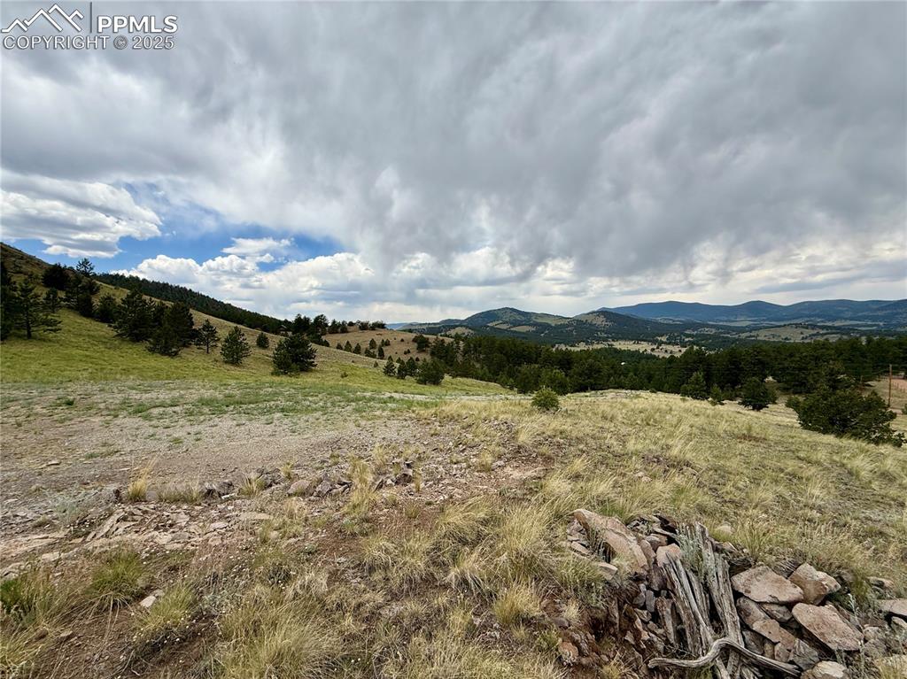 682 Nancy Ann Arroyo Guffey CO 80820