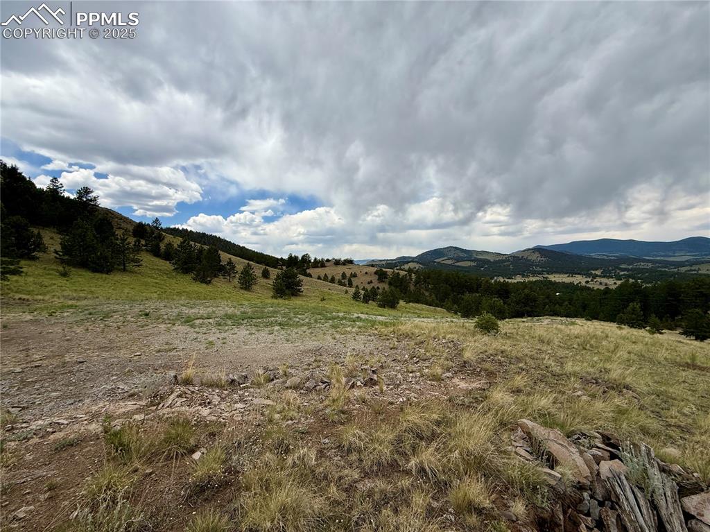 682 Nancy Ann Arroyo Guffey CO 80820