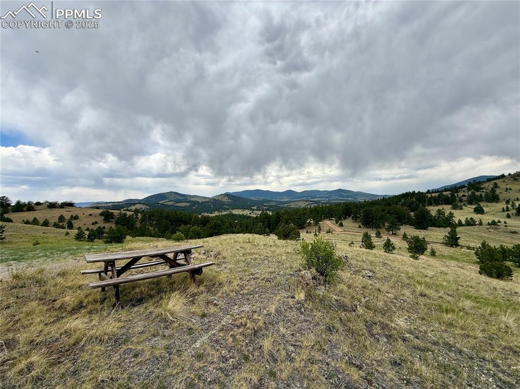 682 Nancy Ann Arroyo Guffey CO 80820