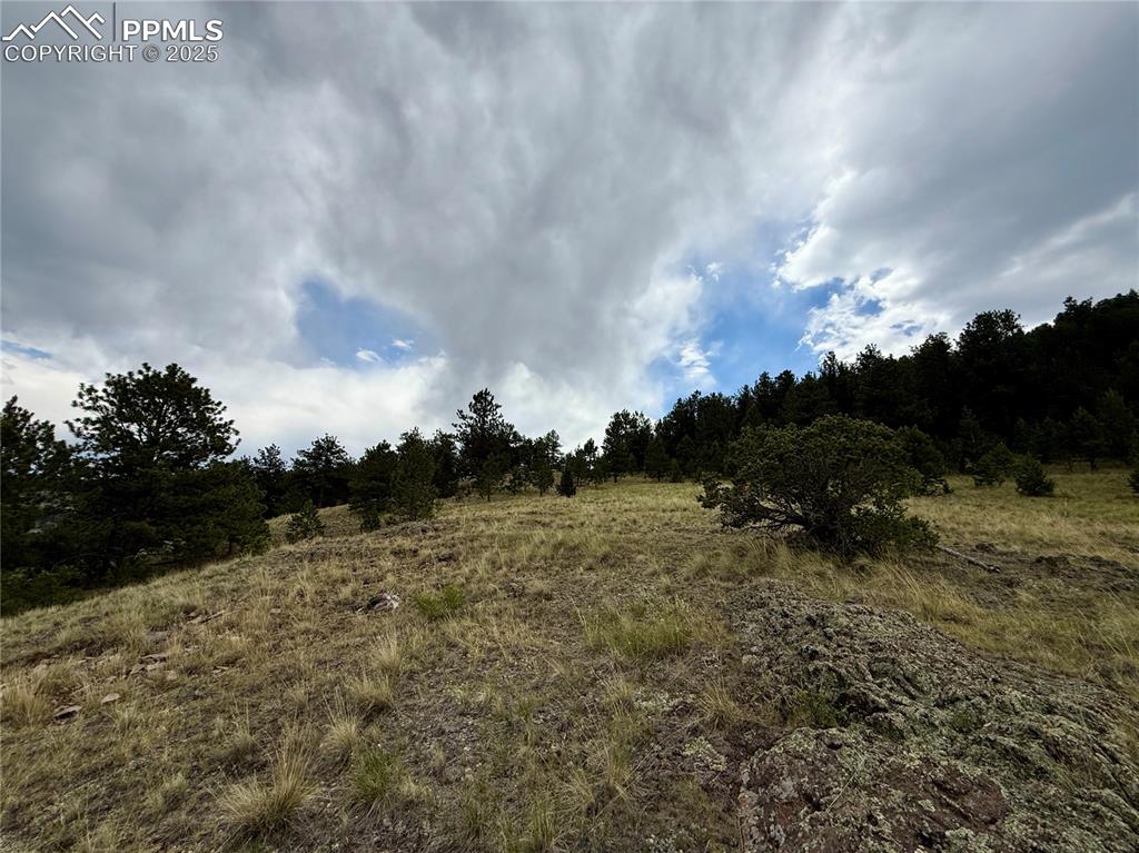 682 Nancy Ann Arroyo Guffey CO 80820