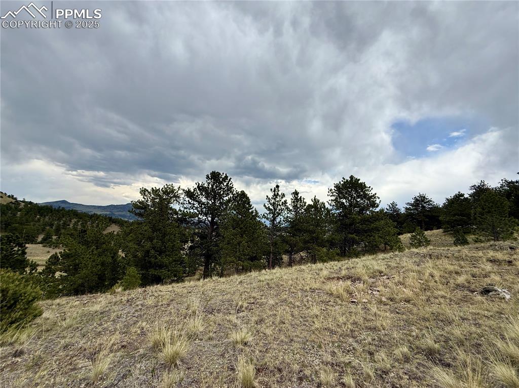 682 Nancy Ann Arroyo Guffey CO 80820