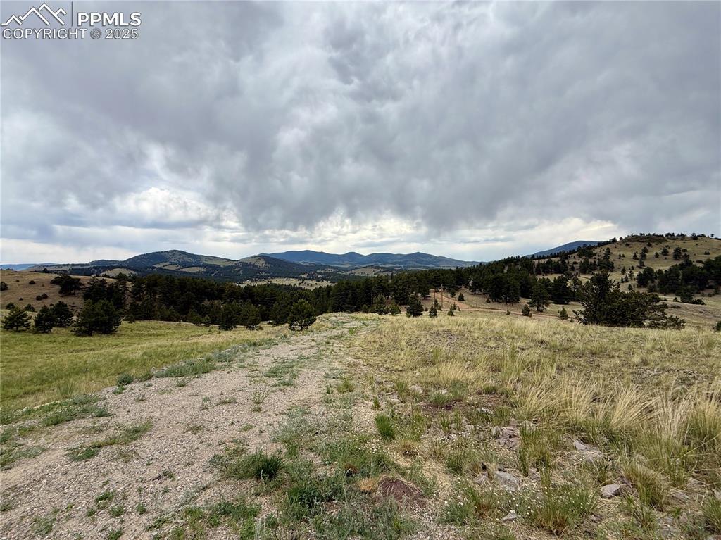 682 Nancy Ann Arroyo Guffey CO 80820