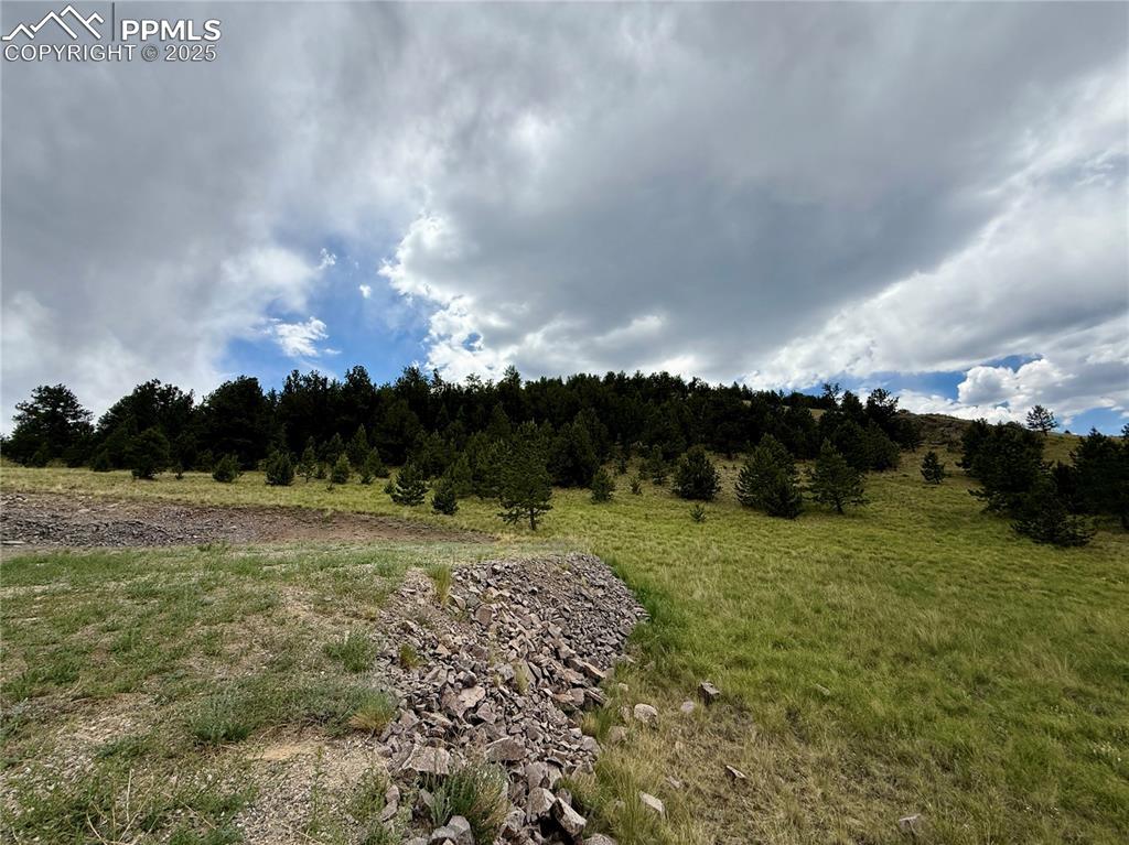 682 Nancy Ann Arroyo Guffey CO 80820