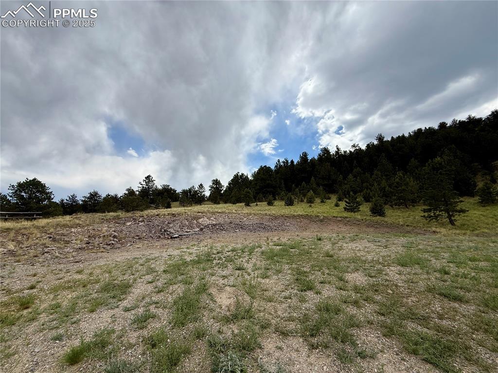 682 Nancy Ann Arroyo Guffey CO 80820
