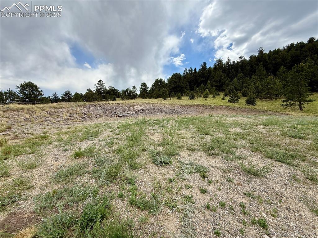 682 Nancy Ann Arroyo Guffey CO 80820