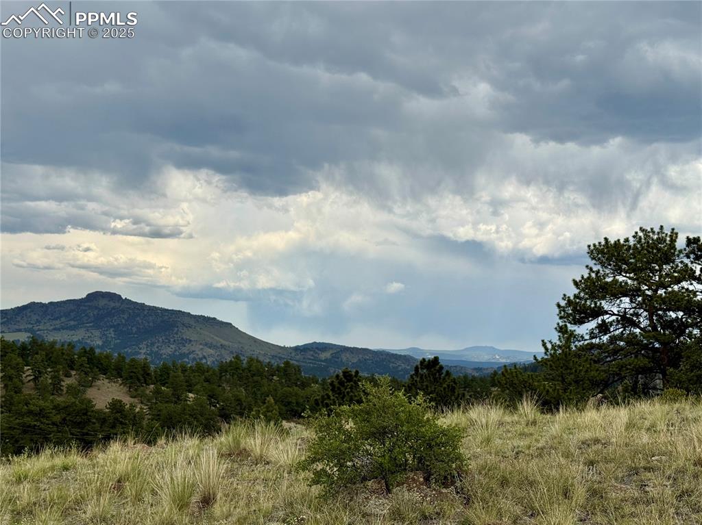 682 Nancy Ann Arroyo Guffey CO 80820