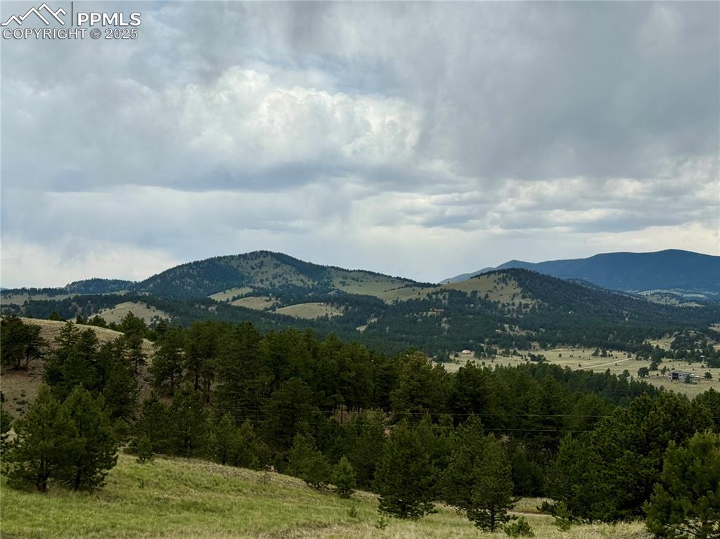 682 Nancy Ann Arroyo Guffey CO 80820