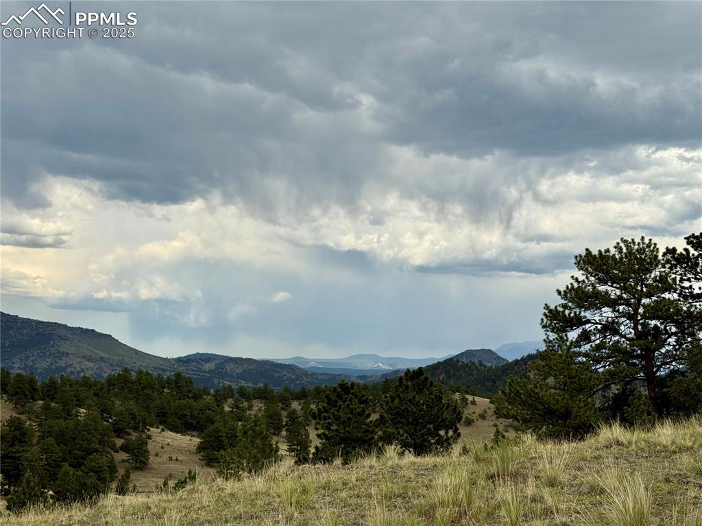682 Nancy Ann Arroyo Guffey CO 80820