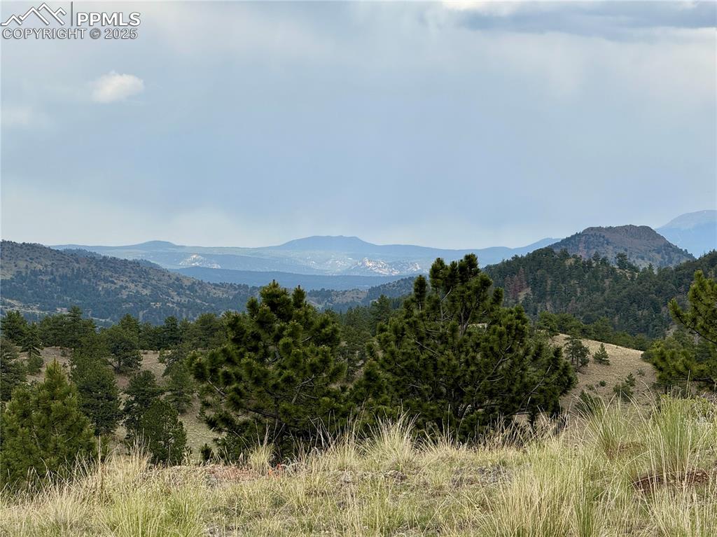 682 Nancy Ann Arroyo Guffey CO 80820