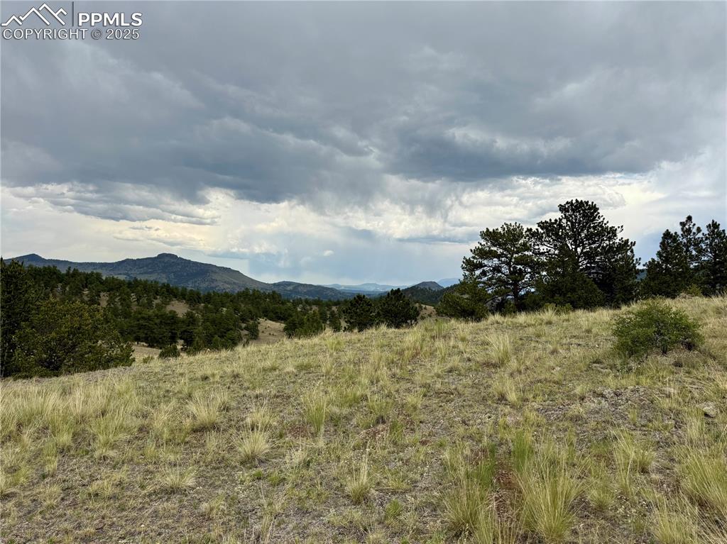682 Nancy Ann Arroyo Guffey CO 80820