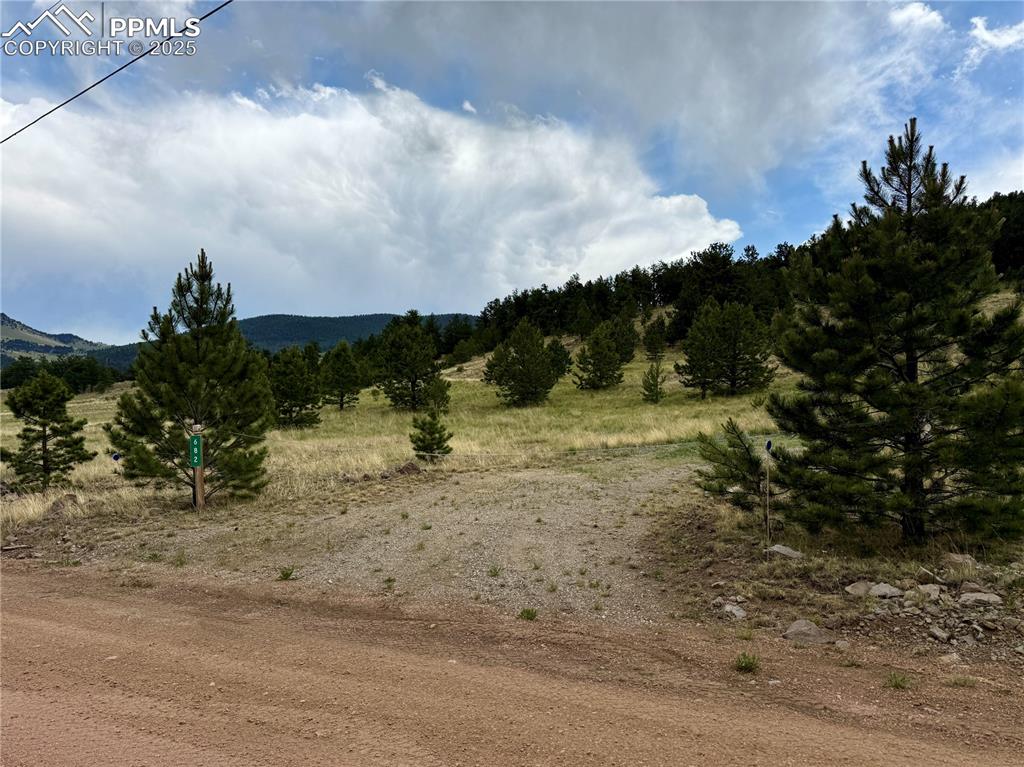 682 Nancy Ann Arroyo Guffey CO 80820
