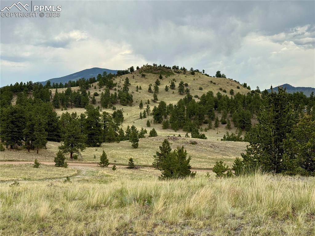 682 Nancy Ann Arroyo Guffey CO 80820