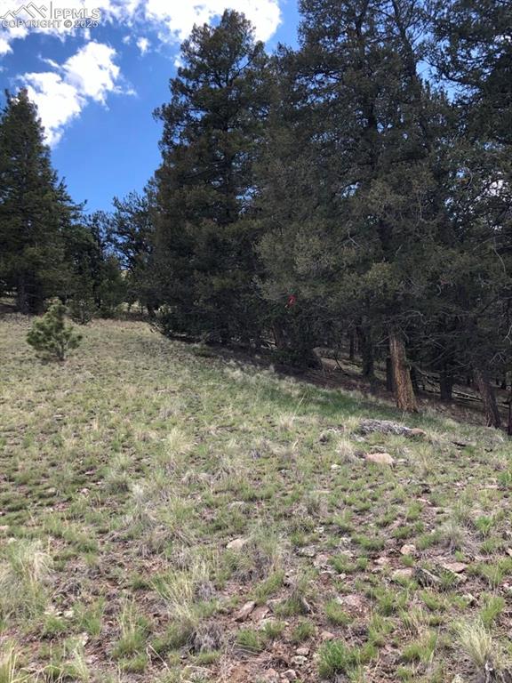 682 Nancy Ann Arroyo Guffey CO 80820