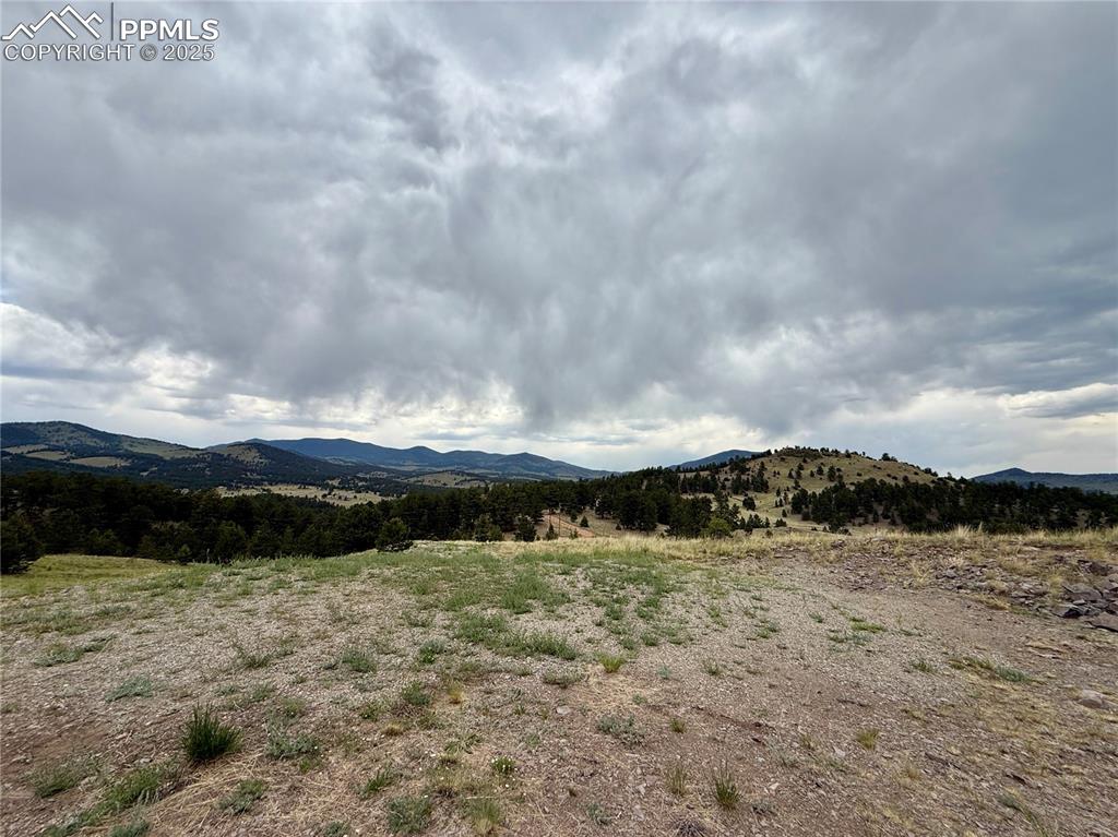 682 Nancy Ann Arroyo Guffey CO 80820