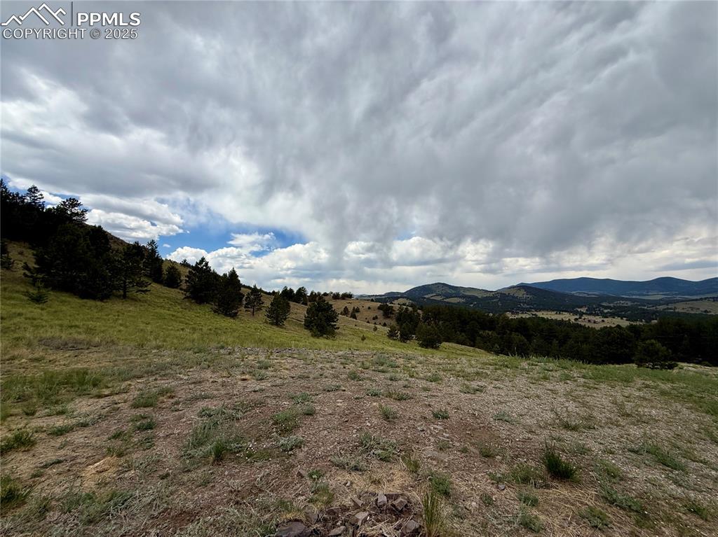 682 Nancy Ann Arroyo Guffey CO 80820