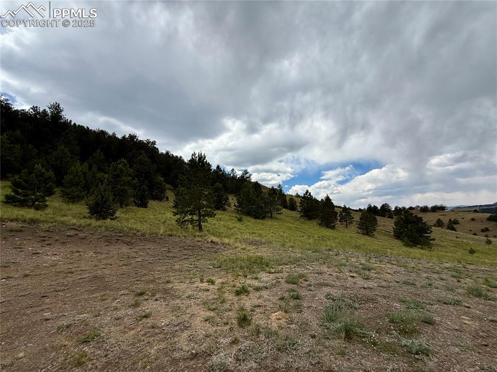 682 Nancy Ann Arroyo Guffey CO 80820