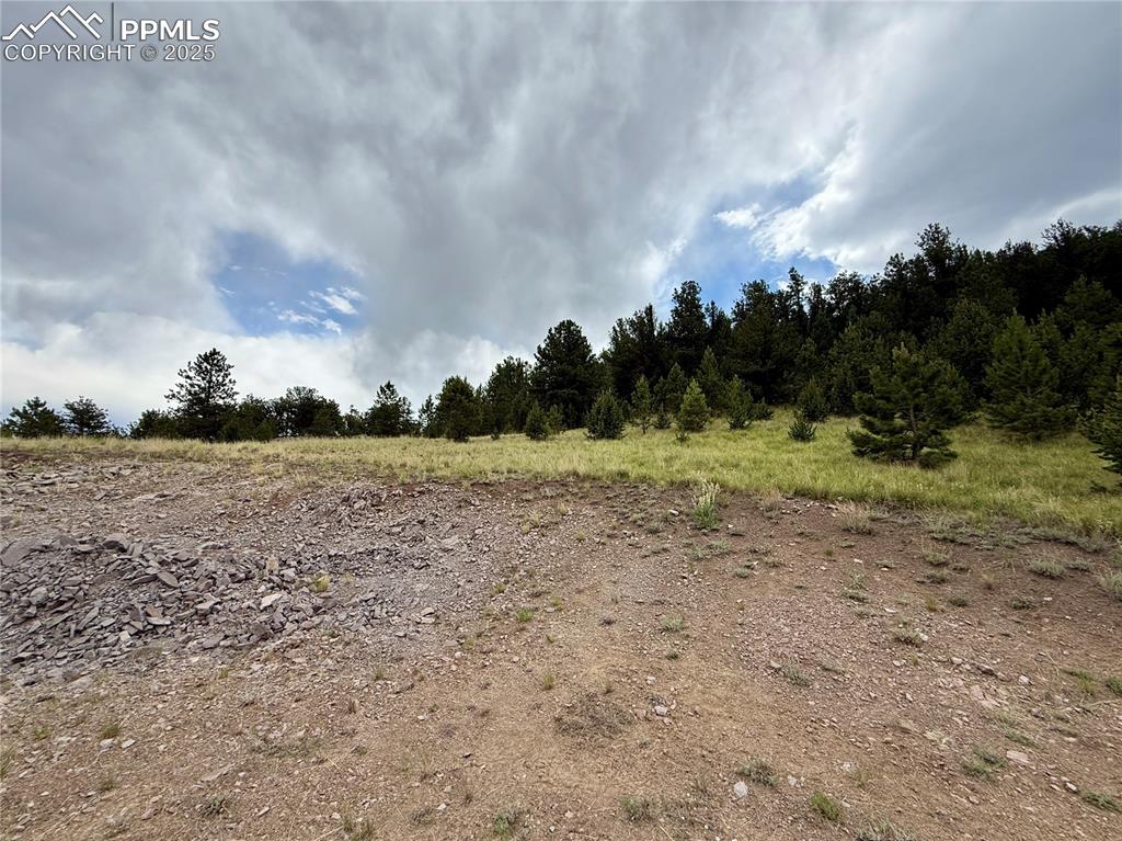 682 Nancy Ann Arroyo Guffey CO 80820