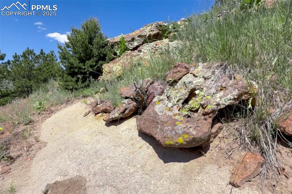 7137 Oak Valley Drive Colorado Springs CO 80919