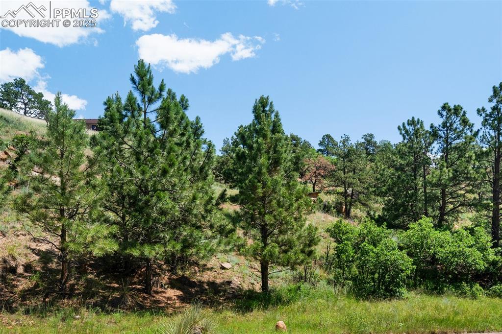 7137 Oak Valley Drive Colorado Springs CO 80919