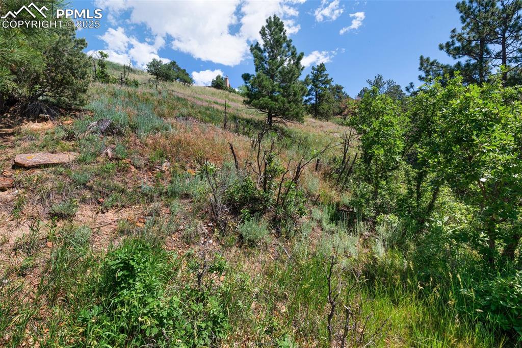 7137 Oak Valley Drive Colorado Springs CO 80919