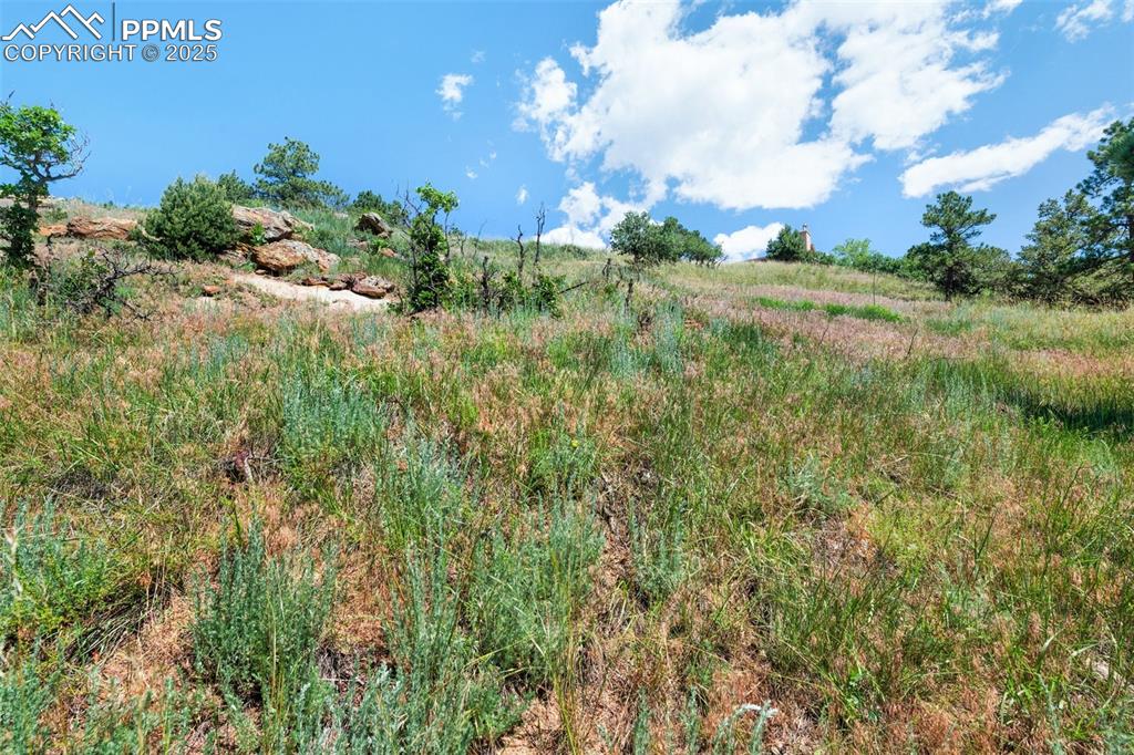 7137 Oak Valley Drive Colorado Springs CO 80919