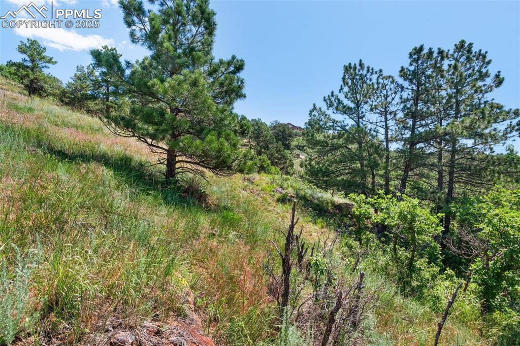 7137 Oak Valley Drive Colorado Springs CO 80919